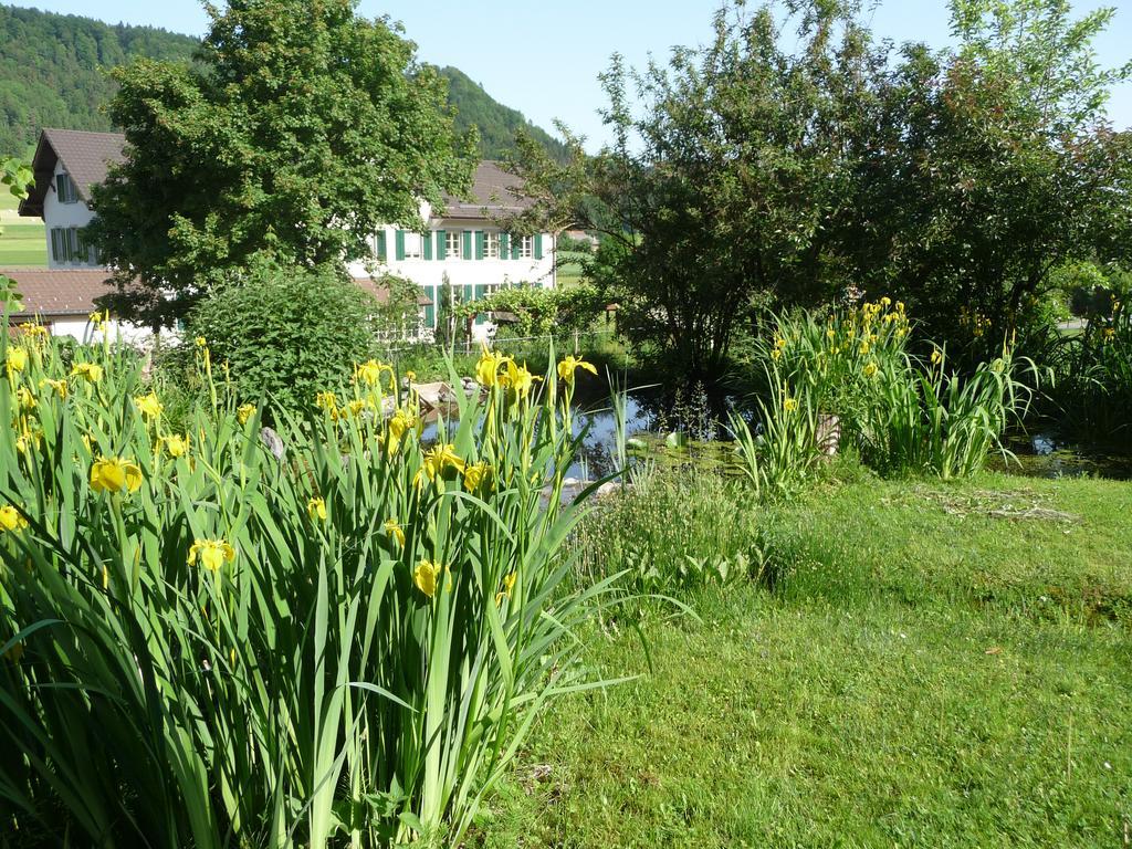 Gastehaus Zum Tulpenbaum Bed and Breakfast Turbenthal Εξωτερικό φωτογραφία