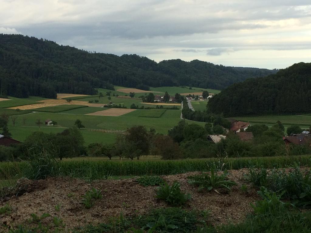 Gastehaus Zum Tulpenbaum Bed and Breakfast Turbenthal Εξωτερικό φωτογραφία